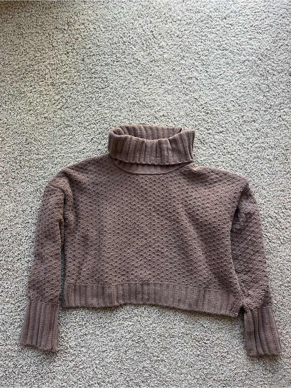 Cozy Cropped Turtleneck Sweater
